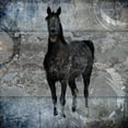 thumbnail image 2 of LightBoxJournal 26x26 Gold Ornate Wood Framed with Double Matting Museum Art Print Titled - Black Mare 3, 2 of 4