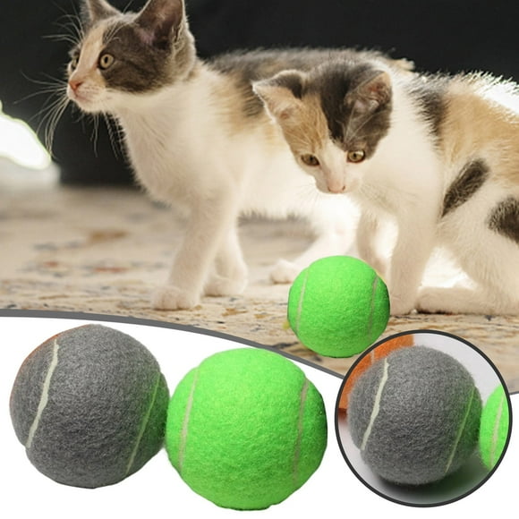 SIfdSeng Small Tennis Ball Dog Toys Smaller Breed Puppies Bright Assorted Colors Bulk (2 Balls) Puppy Toys for Teething Indestructible Dog Toy Teething Toys