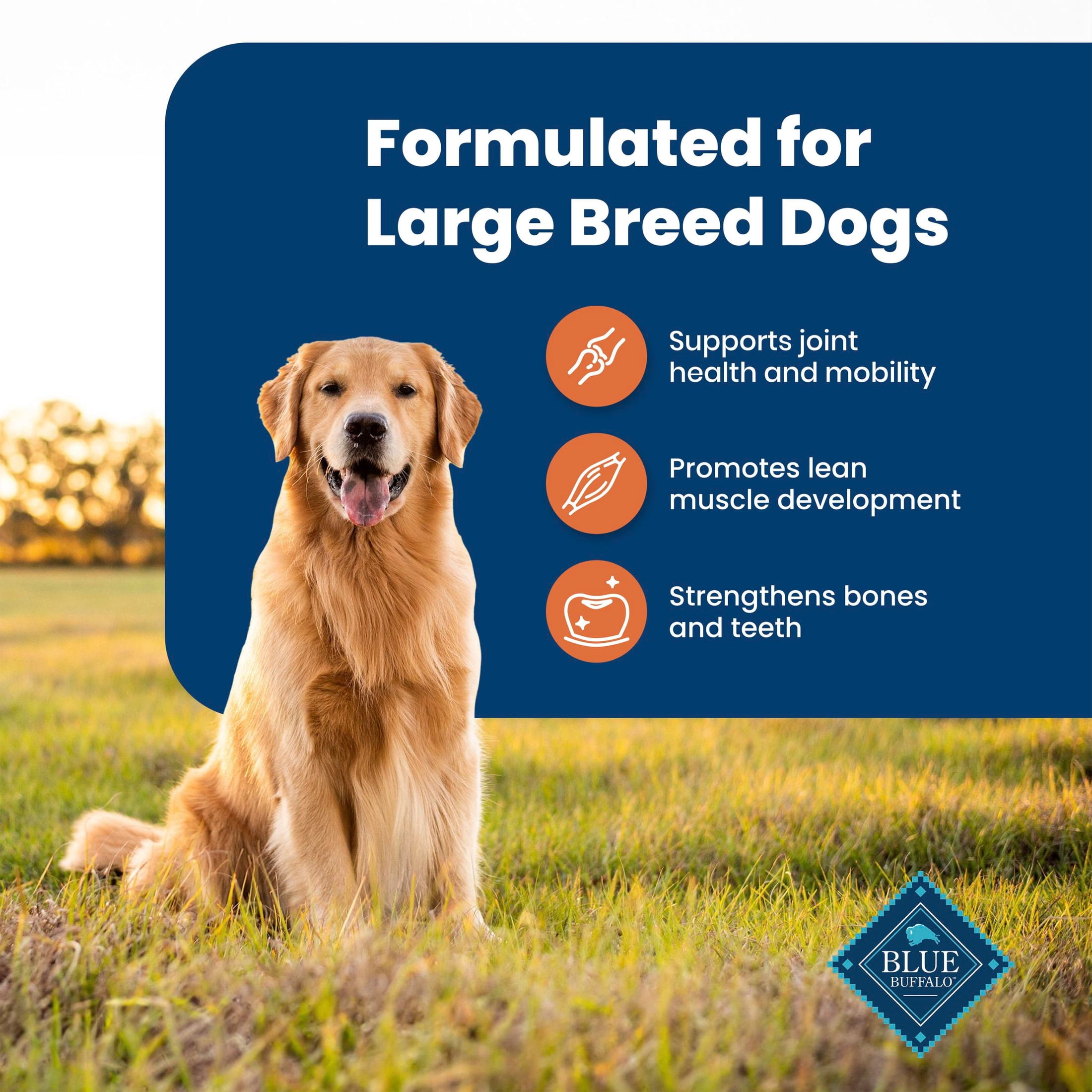 Blue Buffalo Life Protection Formula Large Breed Dry Dog Food, Chicken & Rice, 15lb Bag