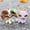#156 #1994, variant on 2 PCS Minilpsshop Mini Pets Figures Toys Collie #2452 Cocker Spaniel #960 with Accessories,Collectible Cartoon Animal Figurines