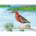 thumbnail image 3 of Betsy Drake PM958 Green Heron II Place Mat - Set of 4, 3 of 3