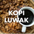 thumbnail image 2 of Volcanica Coffee Kopi Luwak Coffee - Cage Free, 2 oz. Sample Gift Box - 2 oz. sample gift box / Whole Bean, 2 of 6