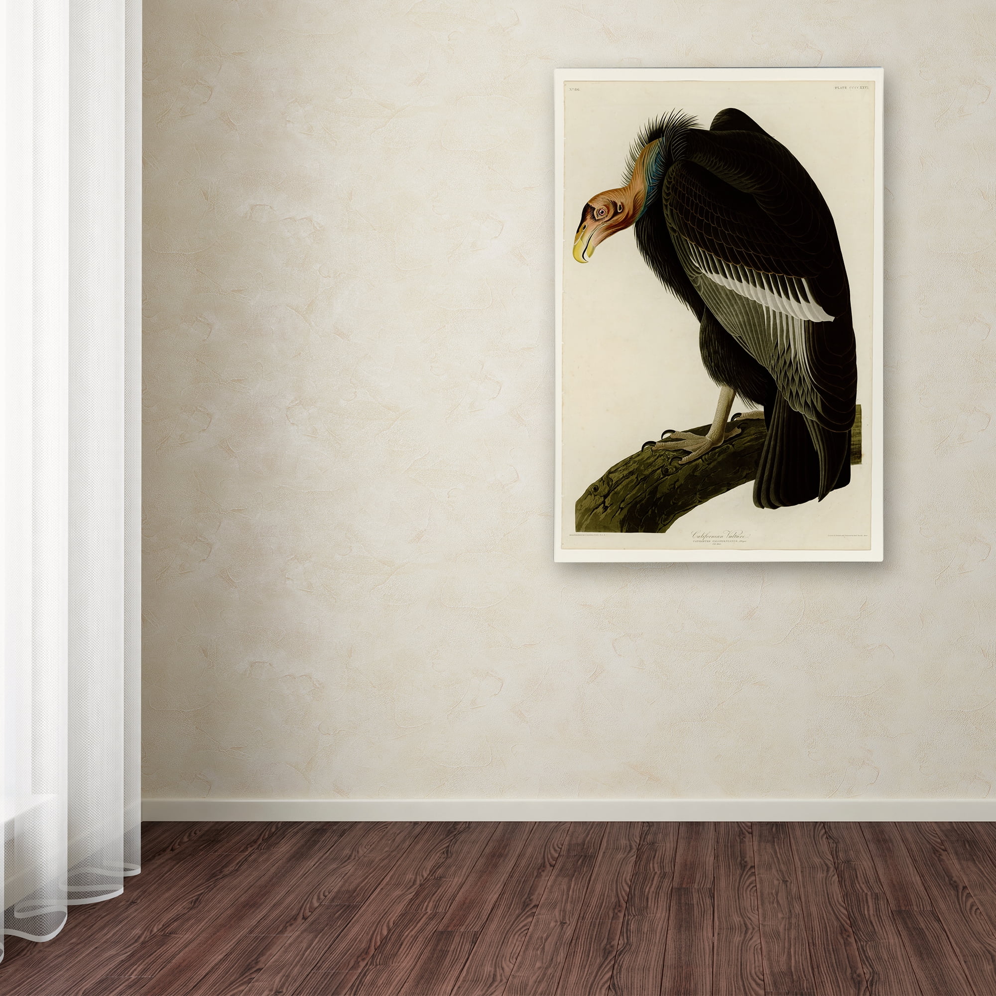Trademark Fine Art 'Californian Vultureplate 426' Canvas Art by Audubon