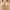 1_Beige, variant on loopsun Summer Savings Clearance 2025! for Womens Plus Size Bra, Women's Valentine's Day No Steel Ring Gathering Breathable Underwear Daily Bra Beige XXXXL