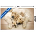 thumbnail image 3 of Keith Kimberlin - Puppies - Golden Retrievers Cuddling Wall Poster with Push Pins, 14.725" x 22.375", 3 of 6