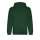 thumbnail image 1 of Awdis - Sudadera para Hombre (Verde Botella), 1 of 2