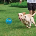 thumbnail image 2 of Hero Squeakables Kettle Ball Juguetes para perros Juguetes para cachorros Juguetes para mascotas Medianos 5 pulgadas (azul), 2 of 5