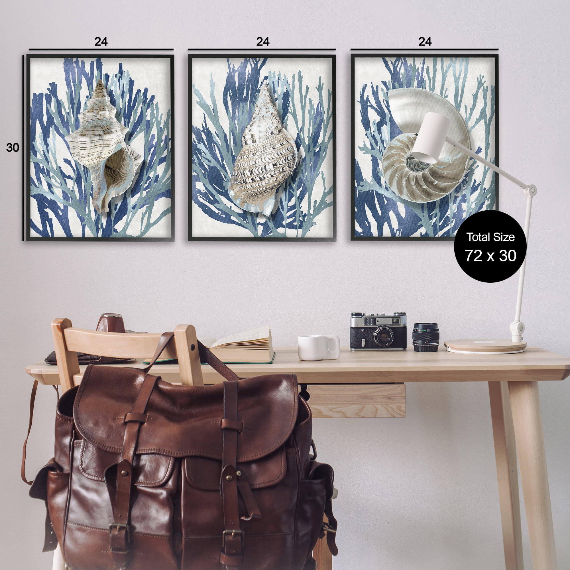 Stupell Industries Trio of Shells & Coral Nature Painting Black Framed Art Print Wall Art, 24 x 30, Set of 3