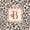 Brown B, variant on Catabedysis Brown Initial V Twin Sheets,Wild Leopard Print Bedding For Girls,3pcs,1 Fitted Sheet and 1 Pillowcase
