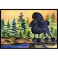 thumbnail image 1 of Carolines Treasures SS8196MAT Paillasson Intérieur & Extérieur 18 x 27 Po. Poodle, 1 of 4