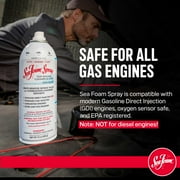 (6 pack) Sea Foam SS14 Cleaner and Lube