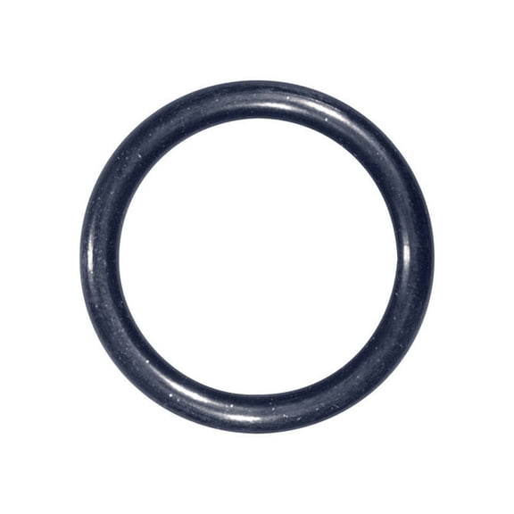 Danco 2 in. Dia. Rubber O-Ring