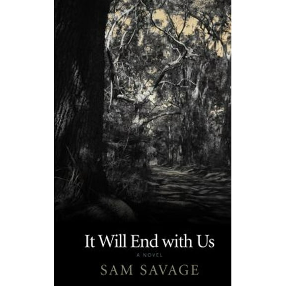 Pre-Owned It Will End with Us (Paperback) 9781566893725