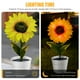 thumbnail image 5 of Girasol Solar Ground Light Interruptor automático LED Path Yard Lights para patio Ndcxsfigh Para estrenar, 5 of 9