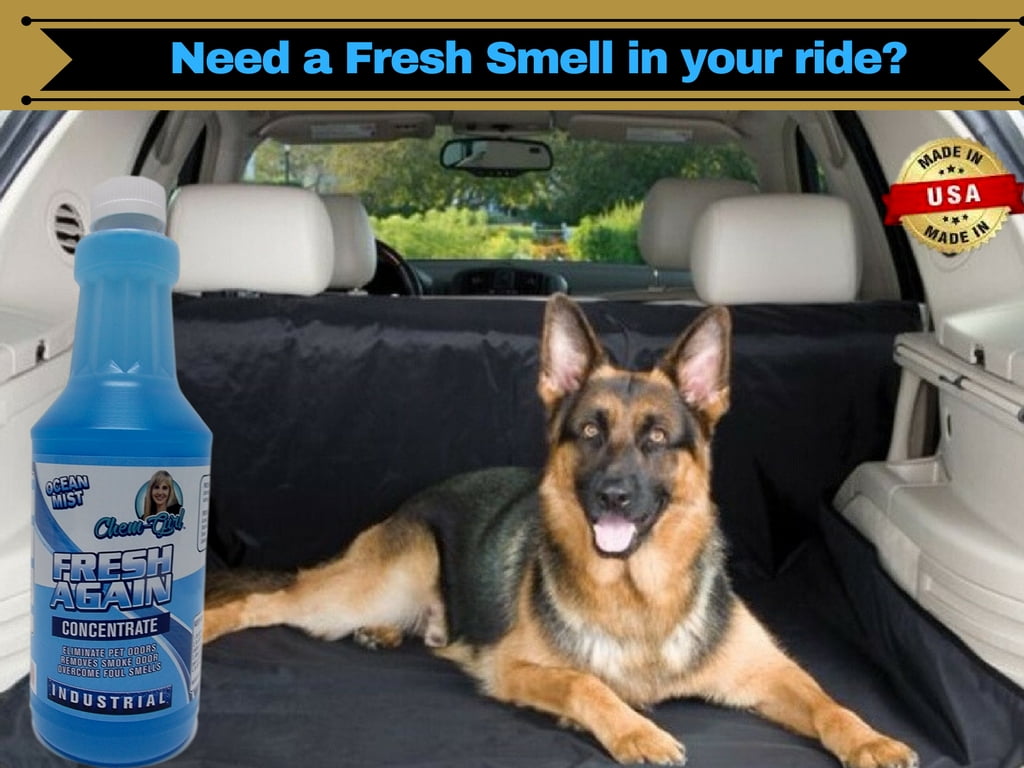 FRESH AGAIN - Concentrated Odor Eliminator | Removes Pet, Laundry, & Smoke Odor | Best For Odorless Upholstery, Rug, Carpet Etc. | Air Freshener For Beds, Litter Box Crates And Kennels | Big 32 Oz.