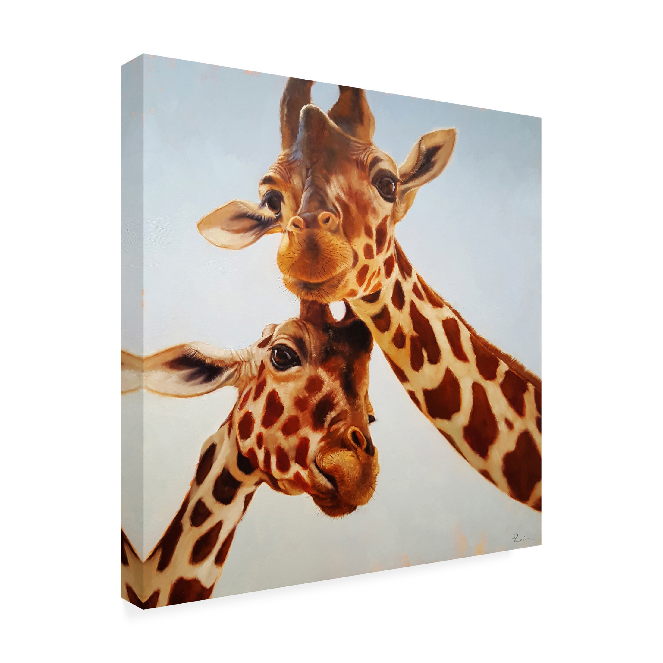 Canvas Wall Art - Lucia Heffernan 'Soulmate II' Wall Art for Living Room, Bedroom, or Office Décor by Trademark Fine Art - 24 x 24 Inches