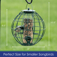 thumbnail image 5 of Backyard Essentials Bird Feeder Orb Caged Green Finch Feeder, 2 Cup Capacity, 5 of 7