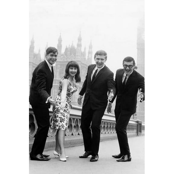 The Seekers 1960's British pop group 24x36 Poster
