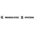 thumbnail image 5 of Michigan State Spartans Fire Pit, 5 of 5