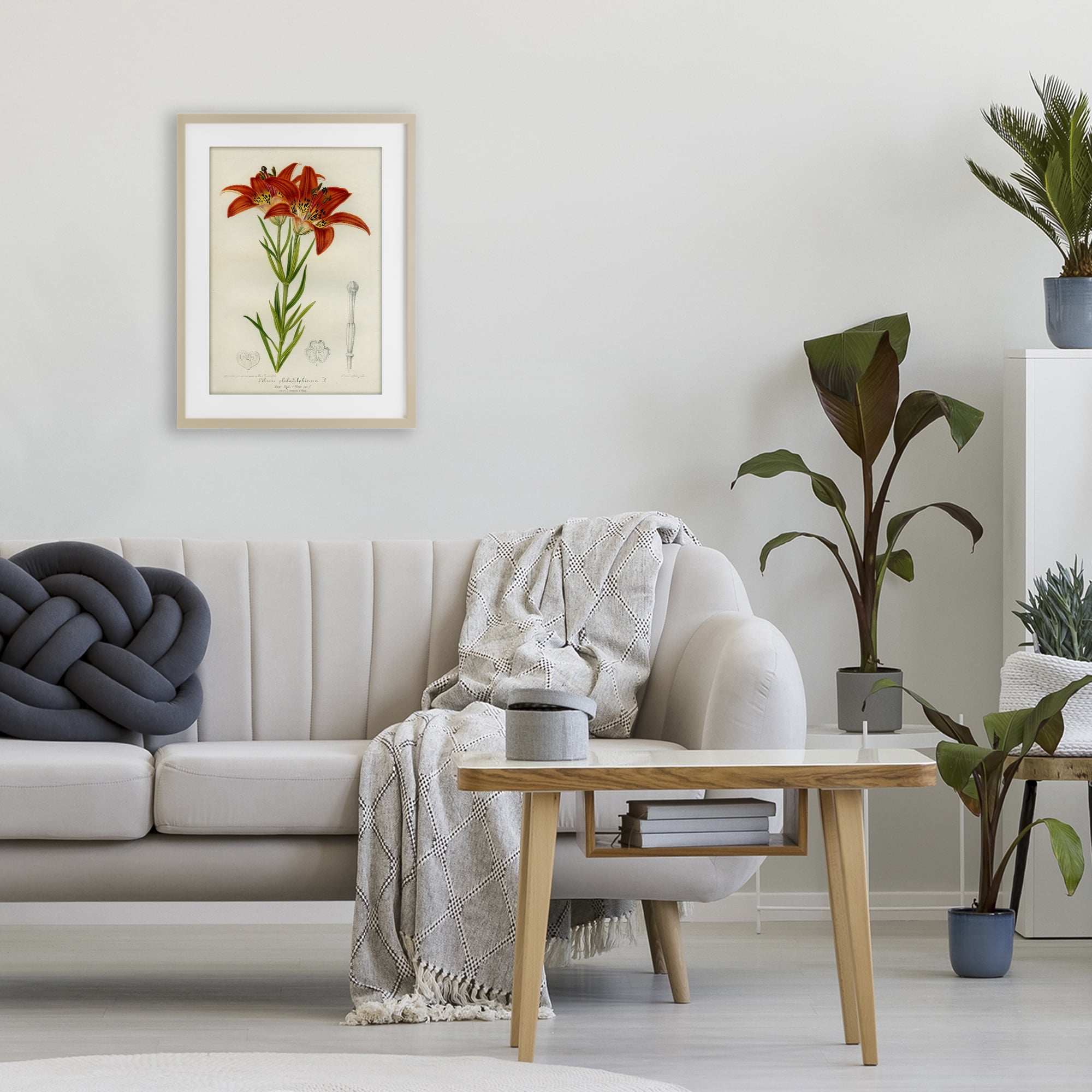 Stupell Industries Western Red Lily Birch Framed Print Under Glass, design by Print Collection