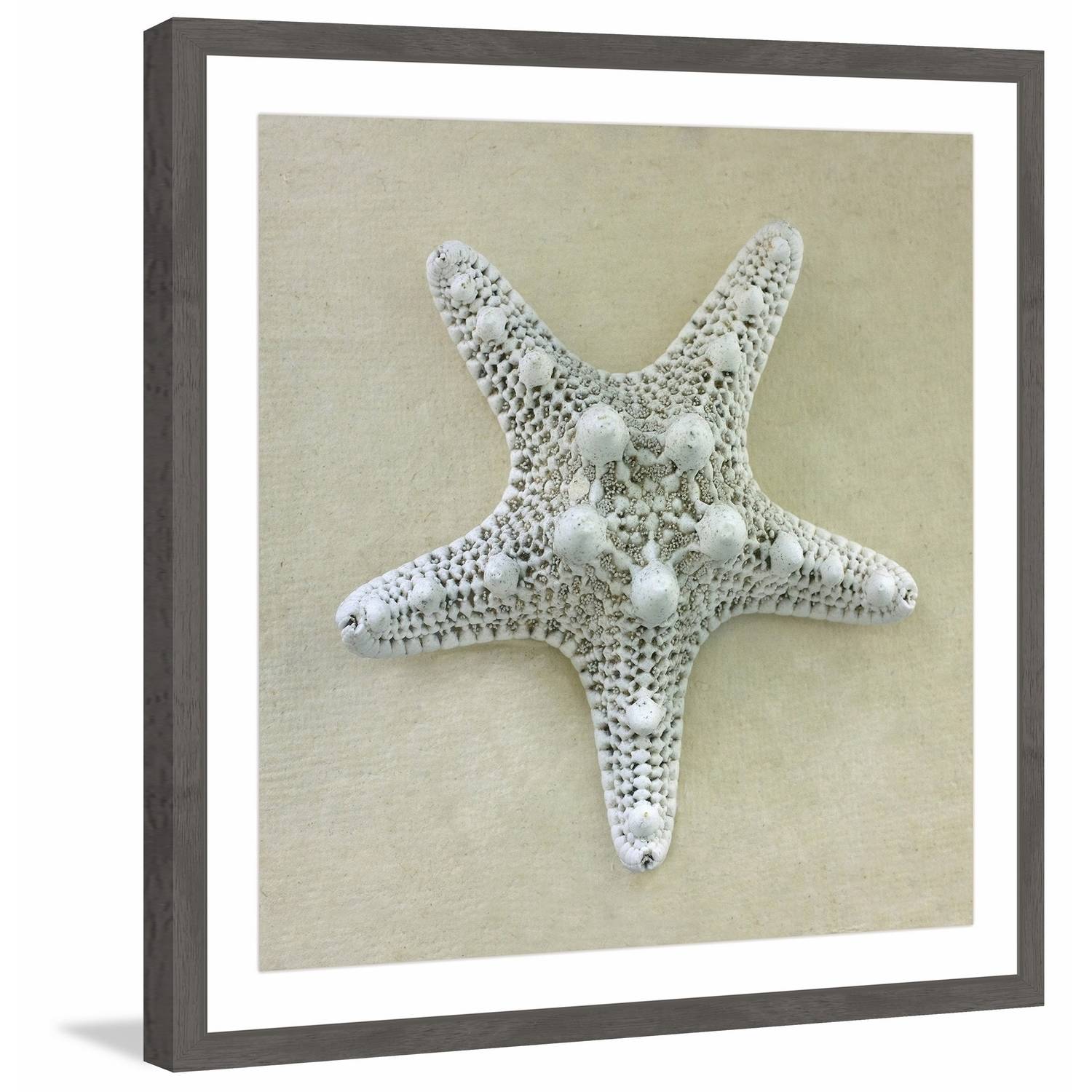 "Pearl of the Sea" Framed Painting Print