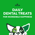thumbnail image 4 of Greenies Original PETITE Oral Care Natural Dental Adult Dog Treats, 4 of 14