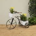 thumbnail image 2 of Gerson International 2517020 Metal Tricycle with 2 Planters, 17.7-inch Length, 2 of 2