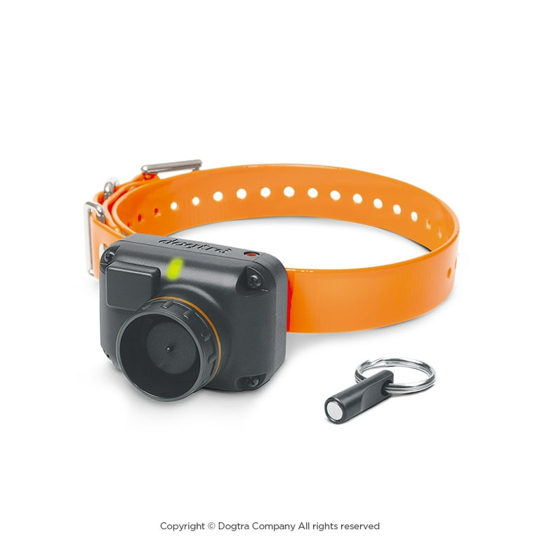 Dogtra STB BEEPER COLLAR Dog Training Collar Beeper Version for