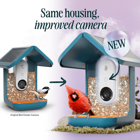 Bird Buddy - Smart Bird Feeder with Solar Roof (Pro Camera Version) - Blue