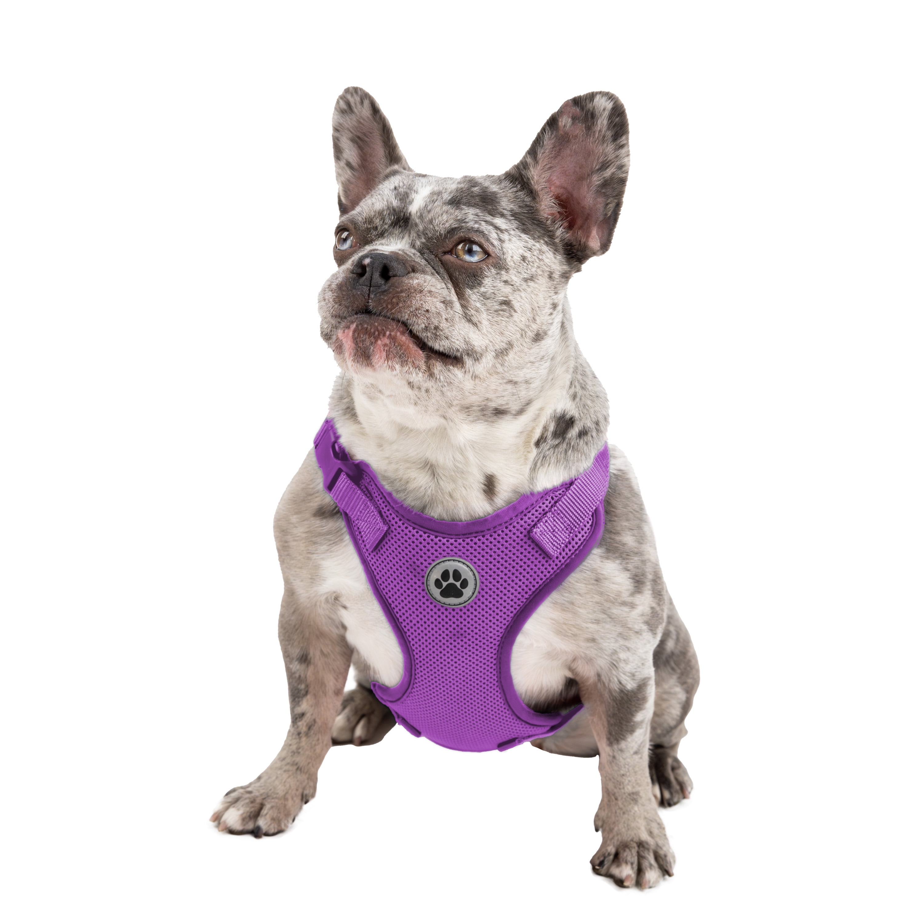 Vibrant Life Polyester Mesh Adjustable and Reflective Dog Walking Harness, Purple, M