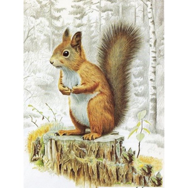 Taladro Pintura Diamante (DF3769) 5D DIY Kit de mosaico de punto de cruz de ardilla completa (W1446) 40x50cm Hugtrwg Para estrenar