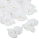 thumbnail image 1 of Cabezas de flores de orquídea Phalaenopsis de seda artificial de 3.9" Uxcell para decoración de bodas DIY, paquete de 20, blanco puro, 1 of 6