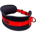 thumbnail image 1 of Safety Belt - Back Support Belt - Waist Support With 2 D-Rings - Stranded Size Belt for Body Positioning, 1 of 8