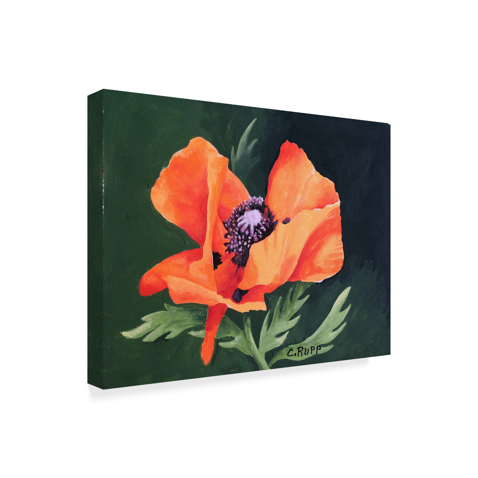 Trademark Fine Art 'Orange And Red Poppy III' Canvas Art by Carol J Rupp