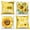 Color-4, variant on Spring Summer Flowers Yellow Throw Pillow Covers 18x18 Set of 4,Sweet Home Bless Decorative Pillow Cases for Bedroom Sofa Couch