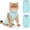Mint, variant on Avont 1 Pack Cat Recovery Suit for Surgery,Anti-Licking Onesie for Kittens -Green (M)
