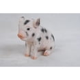 thumbnail image 4 of 7.5" Baby Pig Outdoor Garden Statue, 4 of 4