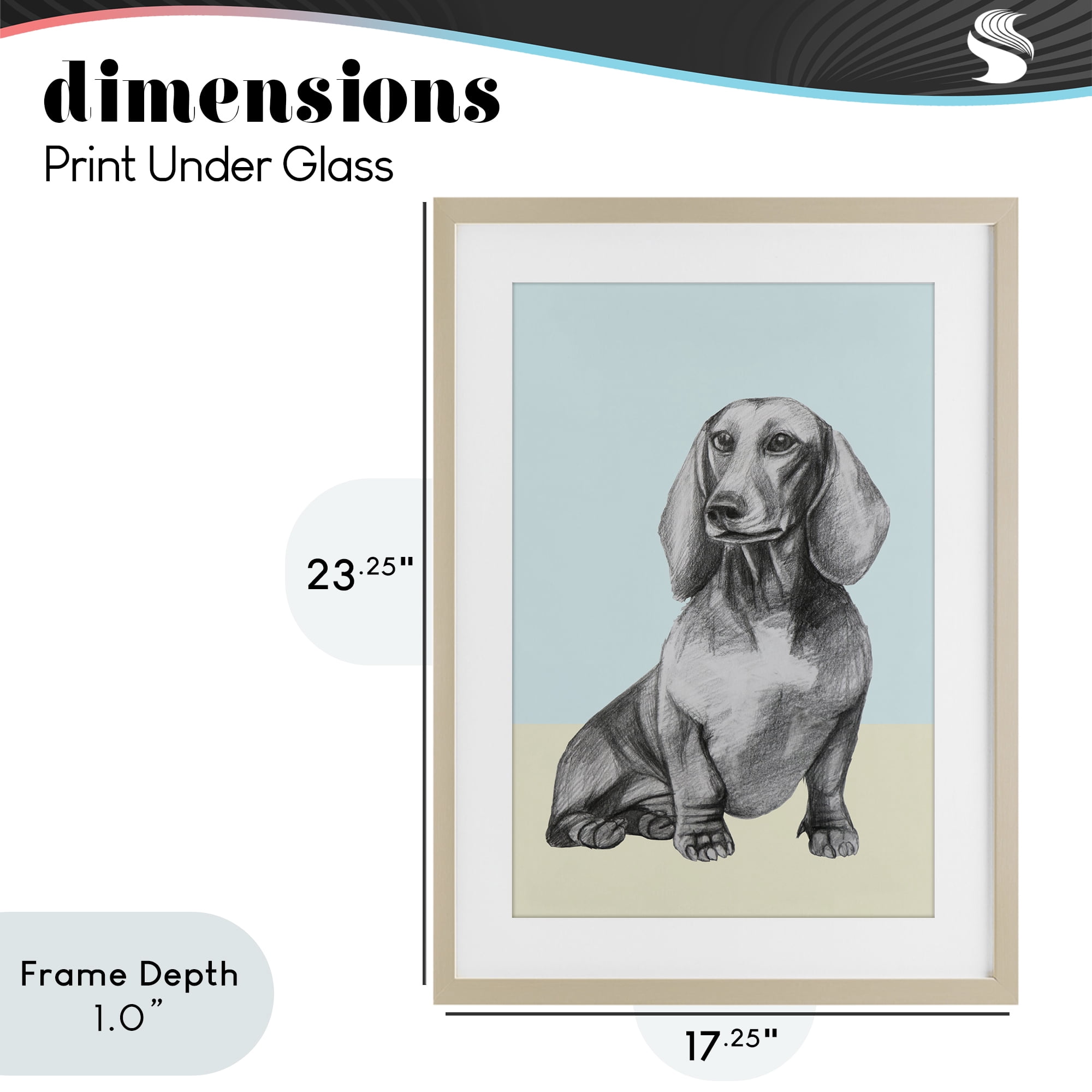 Stupell Industries Sitting Dachshund Sketch Birch Framed Print Under Glass, design by Violeta Vollmer