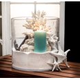 thumbnail image 2 of 3D Starfish Decoration, 2 of 2
