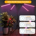 thumbnail image 4 of Behome 5 Heads Grow Light for Indoor Plants, Full Spectrum Plant Light with Adjustable Stand, Grow Lamp with Auto ON/Off Timer, 3 Light Modes & 10 Dimmable Brightness, 4 of 9