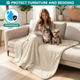 thumbnail image 2 of PetAmi Waterproof Dog Blanket For Small Medium Dogs, Pee Proof Pet Blanket for Couch Bed, Reversible Water Proof Blanket for Puppy Indoor Cat, Soft Dog Fleece Blankets Washable, 24x32 Beige, 2 of 8