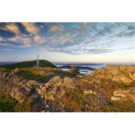 Scenic View of Kodiak Island with Kamchatka Rhododendrons in The Foreground Southwest Alaska Summer Poster Print by Marion Owen - 19 x 12