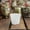 White, variant on Flowerpots with Dish Ceramic, 10 Pack 2.55Inch Multi Color Square Plastic Plant Pots Seedling Nursery Transplanting Planter Container Indoor Outdoor for Your Room Garden, Flower Pots