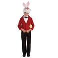 thumbnail image 2 of Disfraz de conejo blanco para niños, conejito de cuento de hadas, personaje de Halloween, Fun Shack fun shack, 2 of 2
