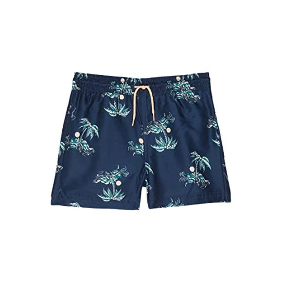 Janie and Jack Shorts de Bain Imprimés Garçon Tout-Petit Petits Enfants Grands Enfants Bleu 2T Tout-Petit