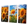 thumbnail image 3 of Designart "Sunshine Blooms Yellow and Green Sunflowers II" Floral & Botanical Wall Art Set Of 3 - Yellow Flowers Gallery Wall Set For Home Decor, 3 of 7