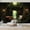 Color 1, variant on Wallpaper Grand Vintage Library Interior Wooden Shelves Archways Peel and Stick Wall Murals 69"H x 96"W Removable PVC Wall Paper Self-Adhesive Wall Paintings Art Decor for Bedroom Living Room
