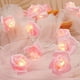 thumbnail image 1 of Eoozwa 1 Packs Romantic Rose String Lights USB Powered Decorative Lights for Bedroom Wedding, Party, Outdoor Decor, Warm White LED Fairy Lights with 8 Modes Timer, 1 of 6