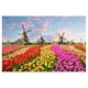 thumbnail image 5 of Puzzles Juego Adultos Juguetes Grande Pieza Puzzle Interesante 500 Regalo Puzzle Juguete, 5 of 5