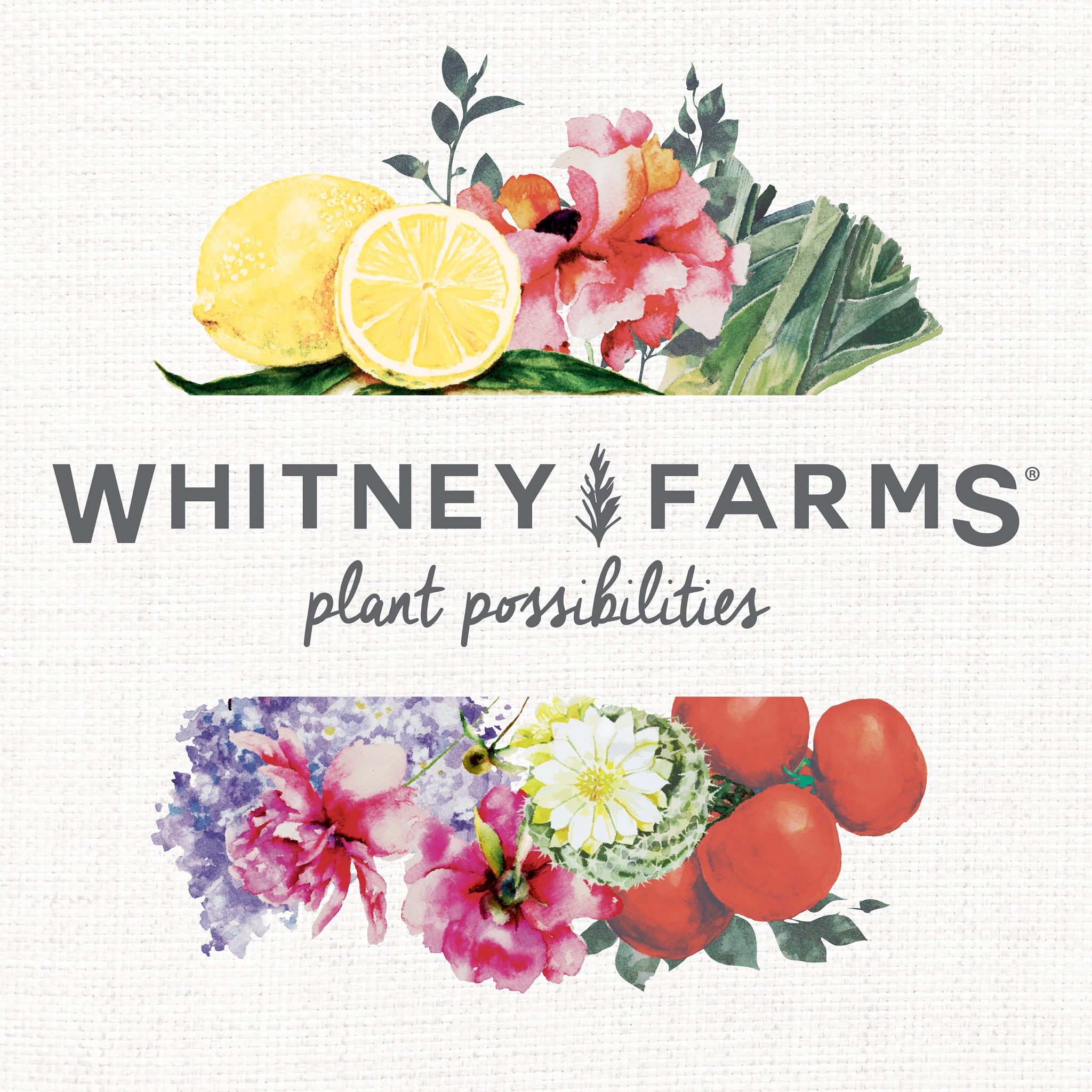 Whitney Farms 3 Lb. 12-0-0 Natural Blood Meal 3401006